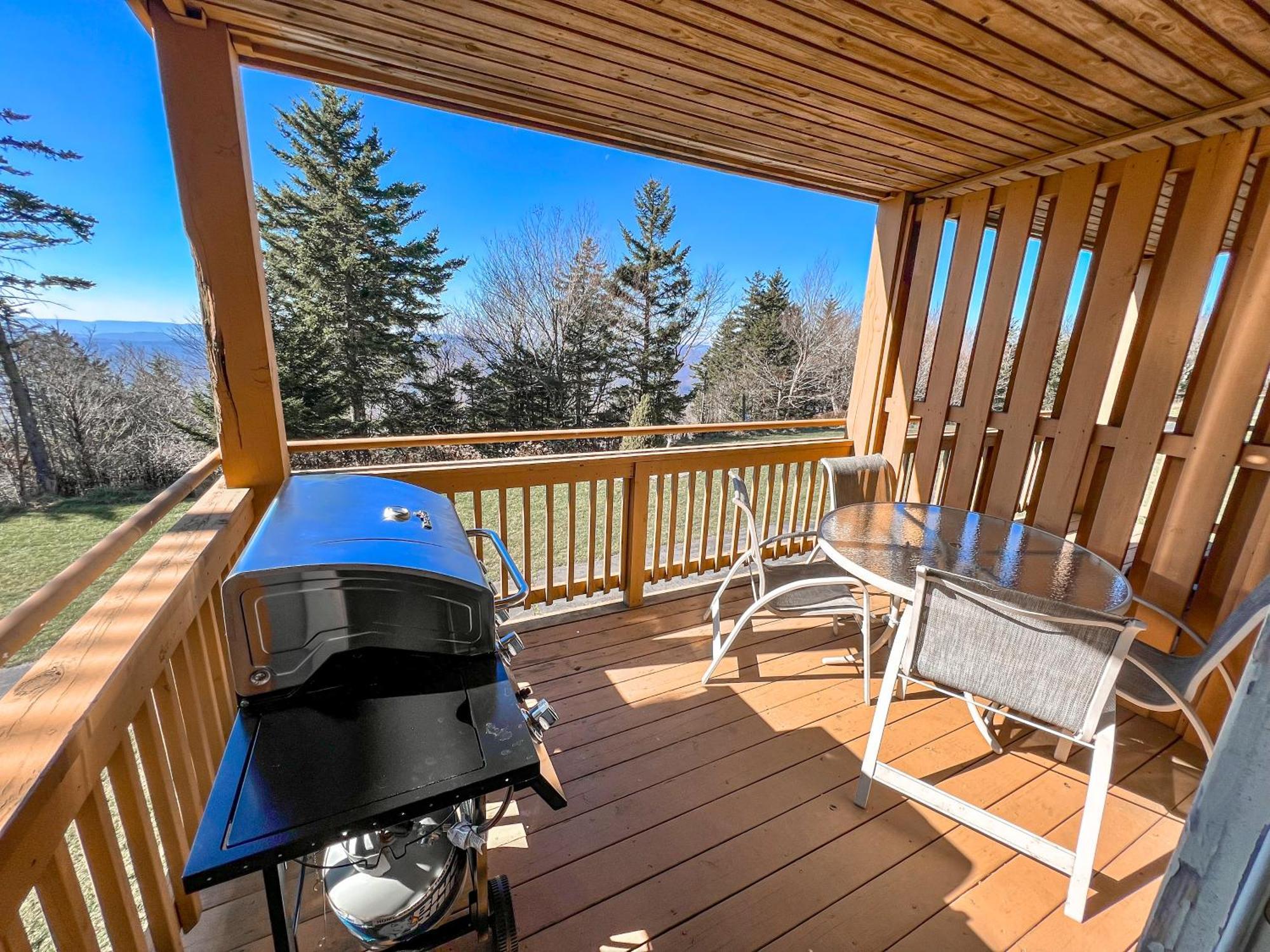 Remodeled Summit Condo At Snowshoe - Modern & Cozy Dış mekan fotoğraf